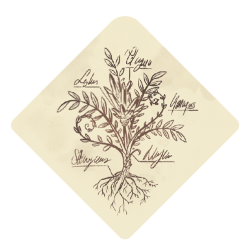 GG015_Bosquet_Back_droit